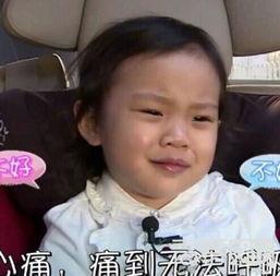 刘烨吃饭表情包,笑料横生的美食瞬间